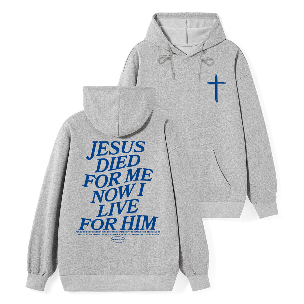 Premium Hoodie Hot 13